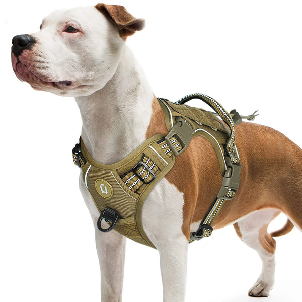 Harnais Chien Anti Traction Tactique