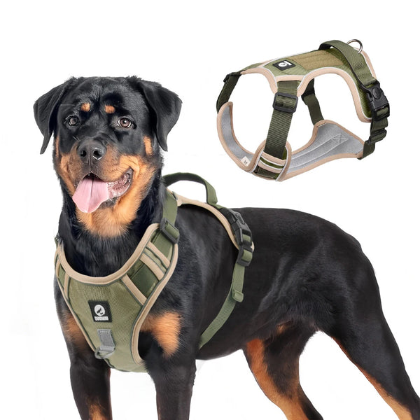 Harnais Tactique Chien Oxford