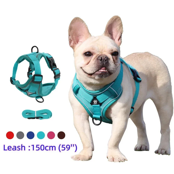 Harnais Chiot Léger Ajustable