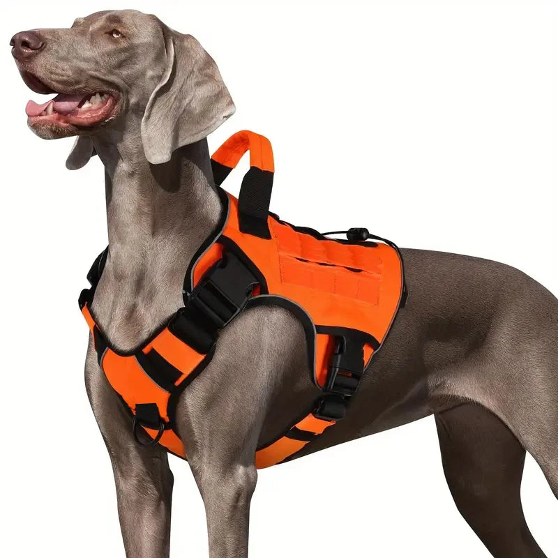 Harnais Tactique Chien Réfléchissant