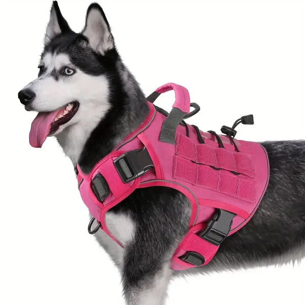 Harnais Tactique Chien Réfléchissant