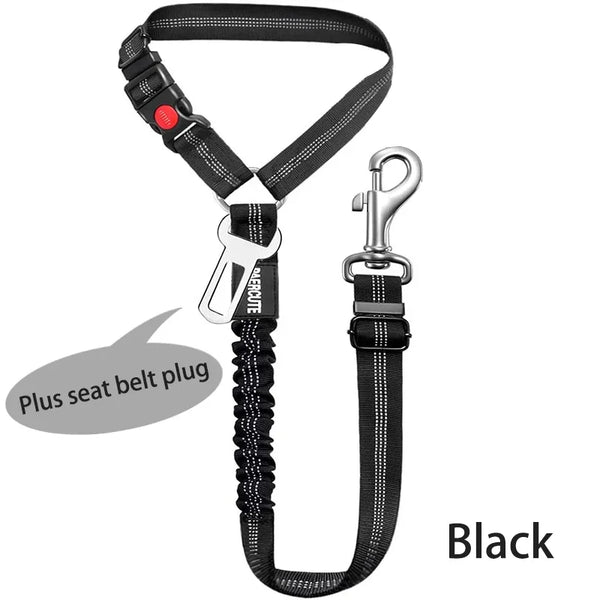 Ceinture Chien Voiture 2 en 1