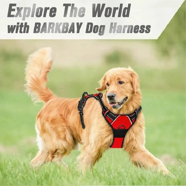 Harnais Chien Poignée Polyvalent