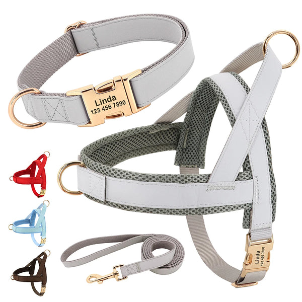 Harnais Petit Chien Set Ajustable