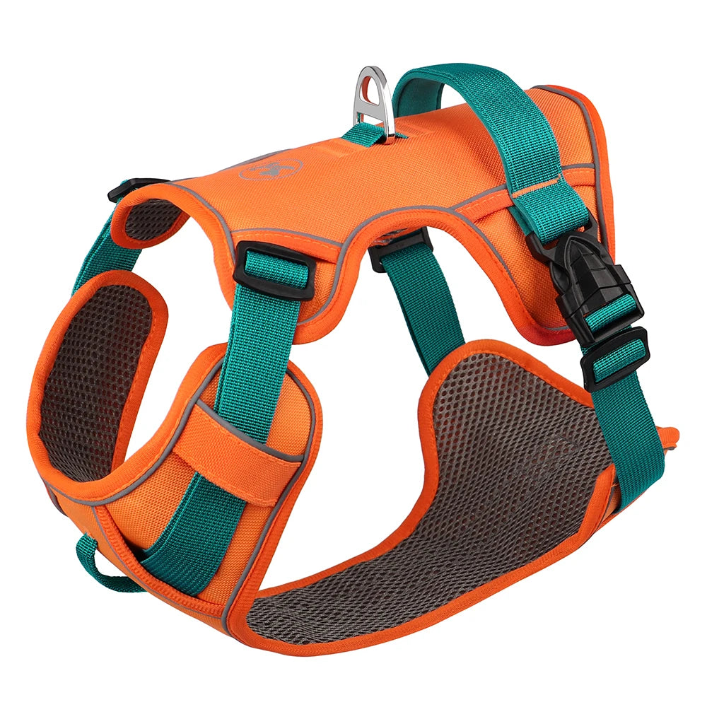 Harnais Petit Chien Maille Respirante