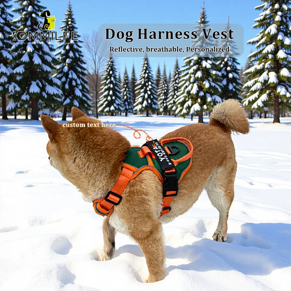 Harnais Chien Actif Respirant