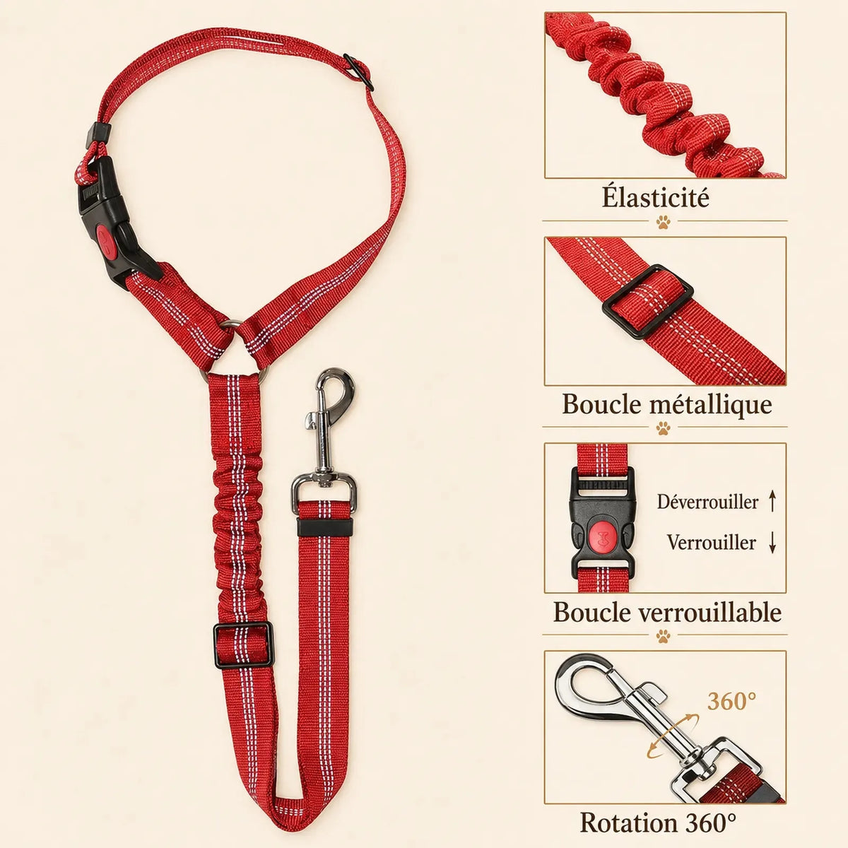 Ceinture Chien Voiture 2 en 1 - Détail élasticité et boucles
