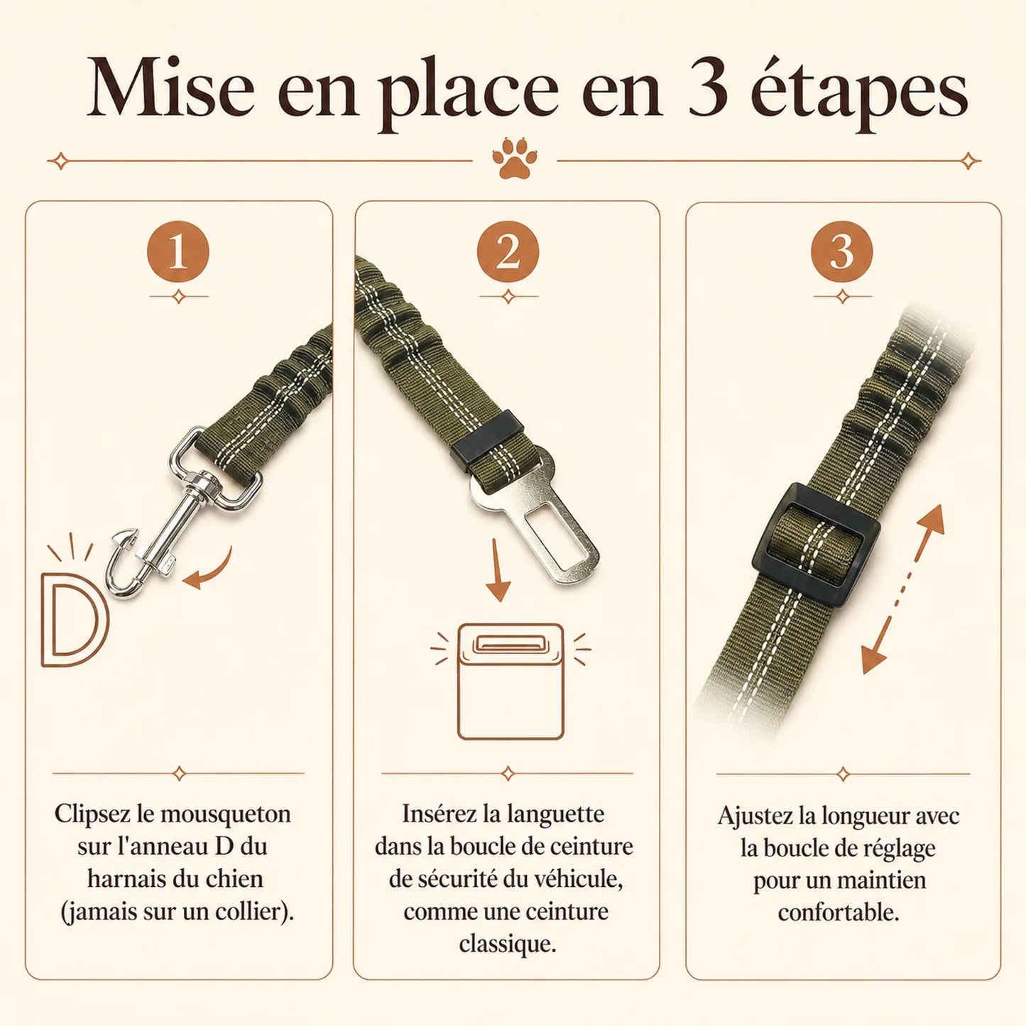 ceinture chien voiture elastique mise en place 3 etapes