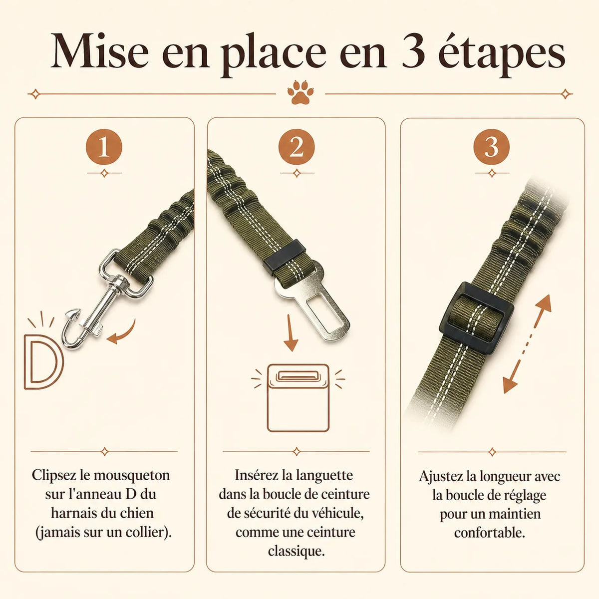 ceinture chien voiture elastique mise en place 3 etapes