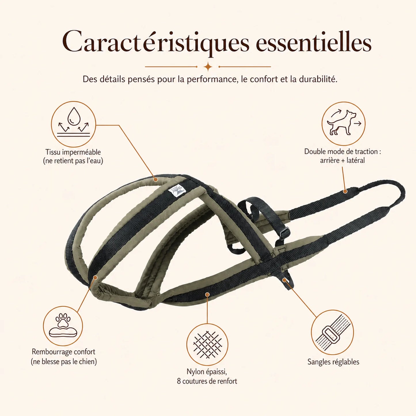 harnais canicross avec laisse caracteristiques essentielles