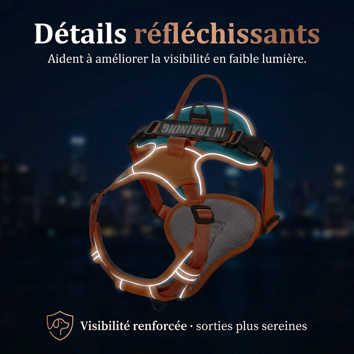 Harnais Chien Actif Respirant - bandes reflechissantes