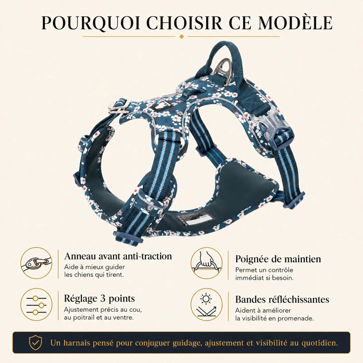 harnais chien anti traction floral pourquoi choisir ce modele