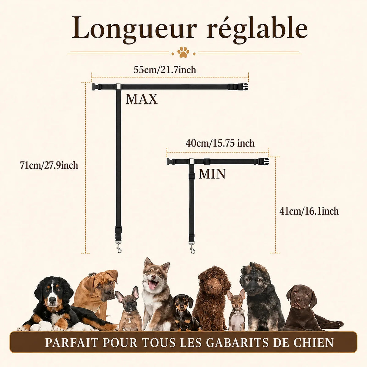 Attache Chien Voiture Appuie-Tête - Longueur réglable