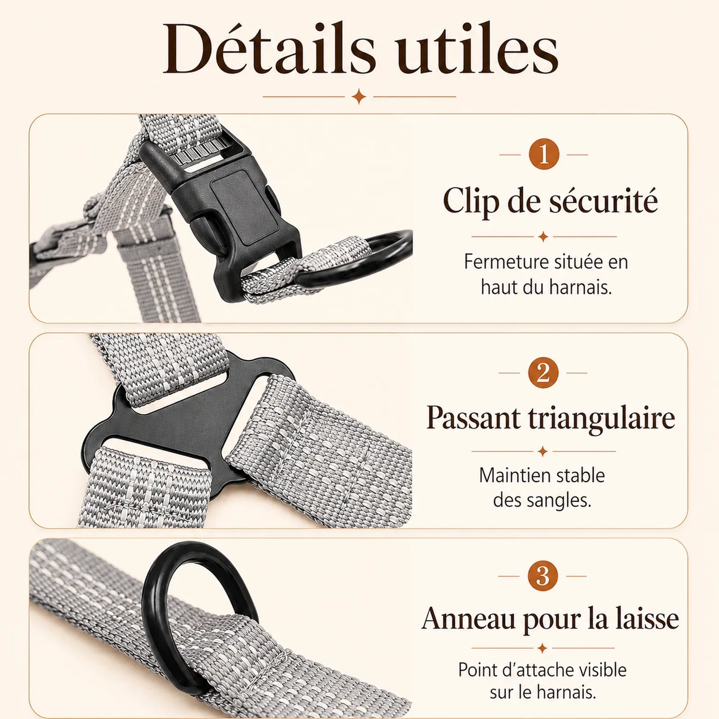 harnais chien gris detail clips anneaux