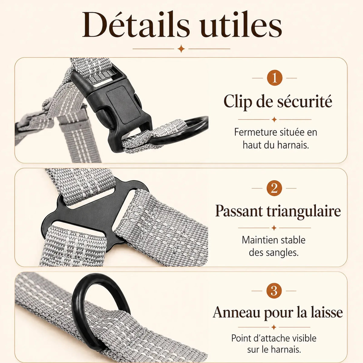 harnais chien gris detail clips anneaux