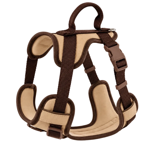 Harnais chien Anti Traction Original rembourré coloris café et beige