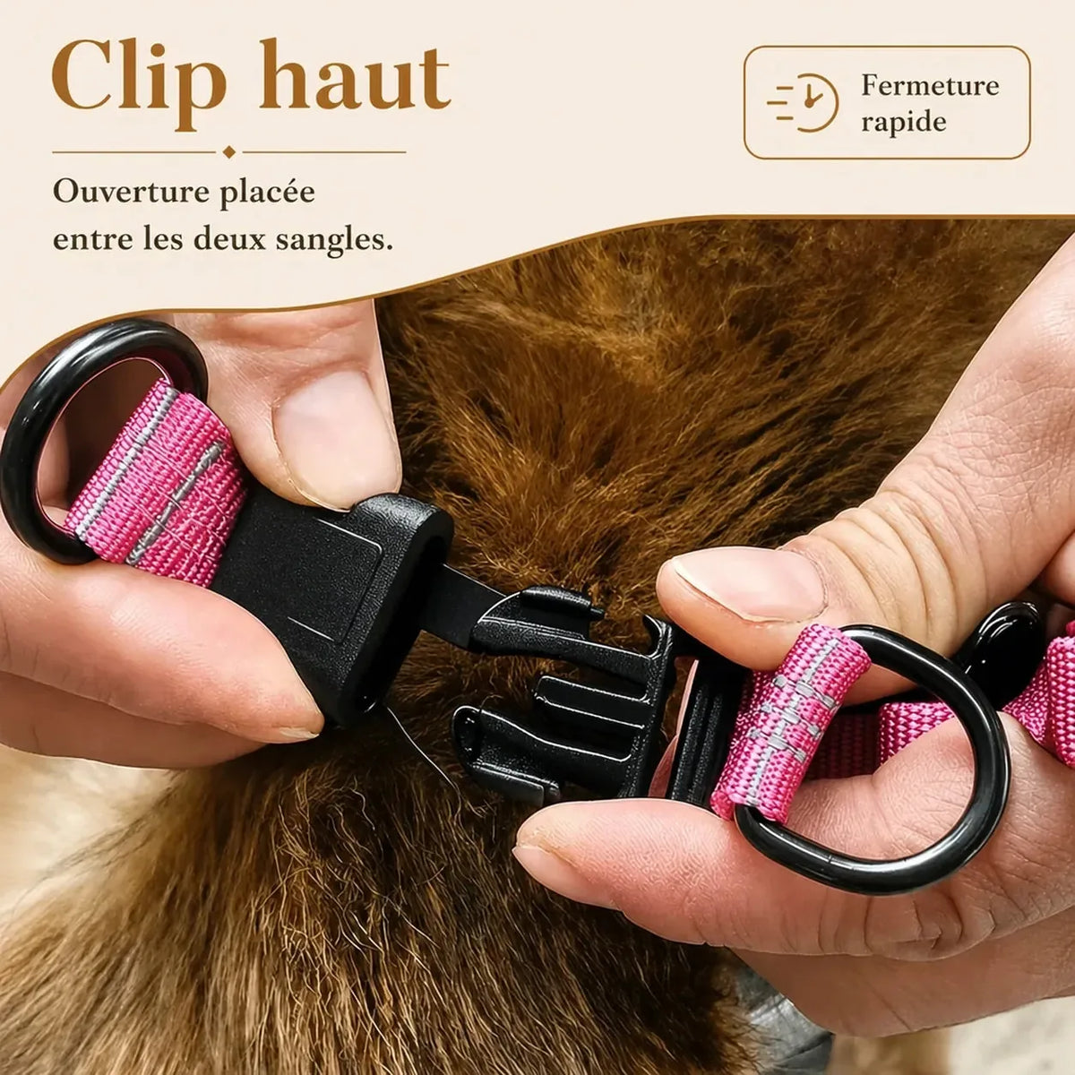 harnais chien rose detail clip haut