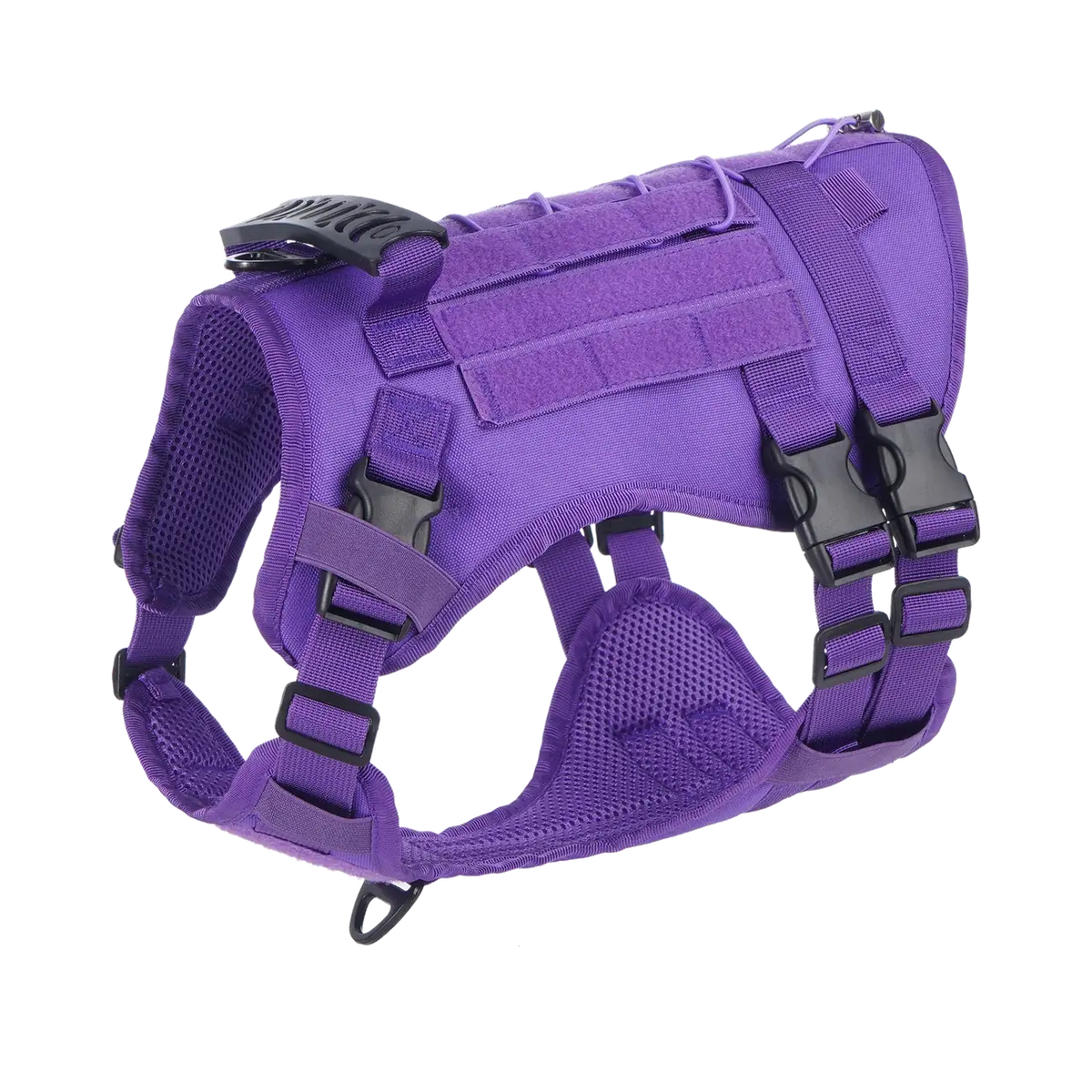 Harnais 3 points tactique violet pour chien