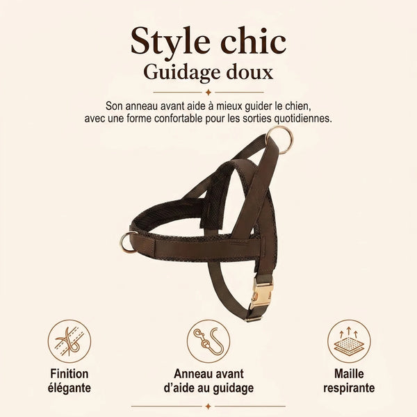 Harnais Petit Chien Chic - benefice principal