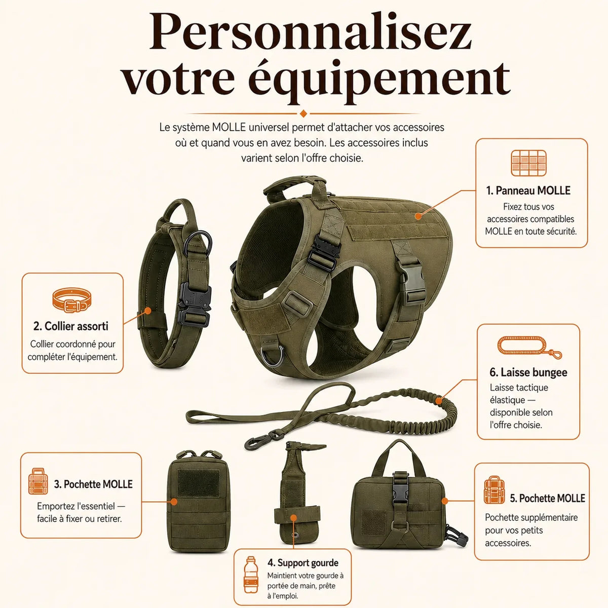 Harnais tactique chien molle - personnalisez votre equipement