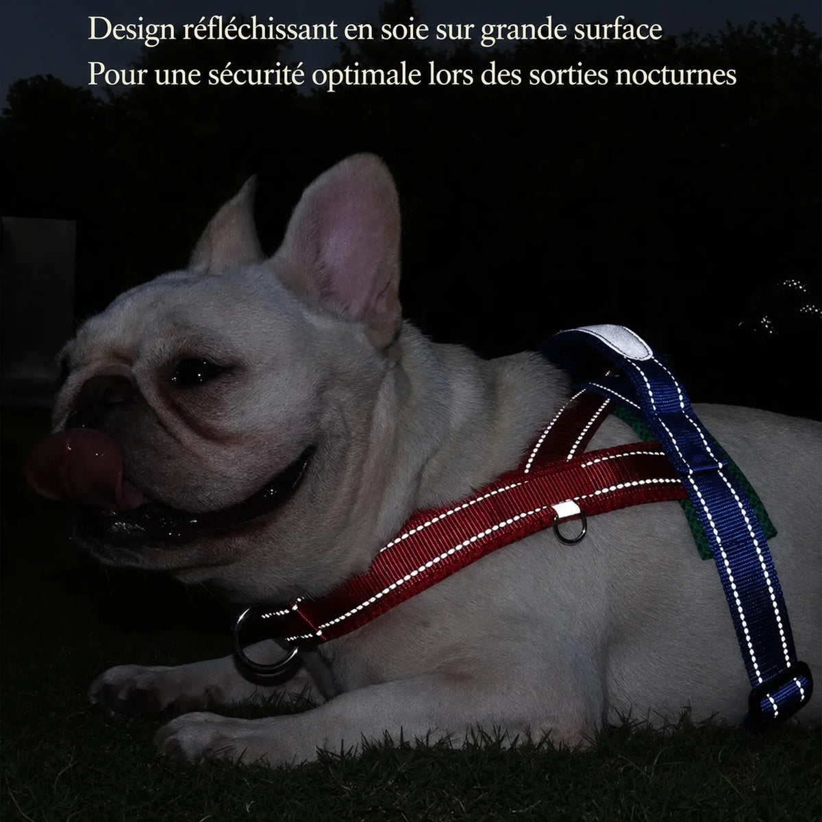 Harnais Petit Chien Selle Ajustable - Réfléchissant de nuit