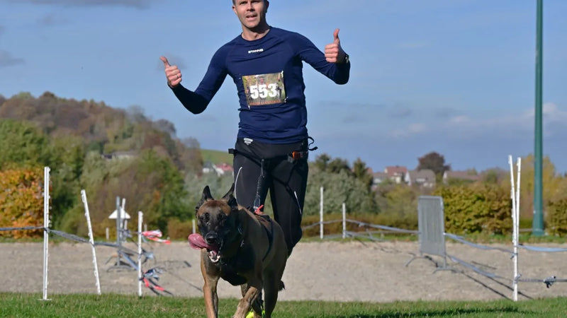 Quel harnais de canicross choisir pour courir avec son chien ?