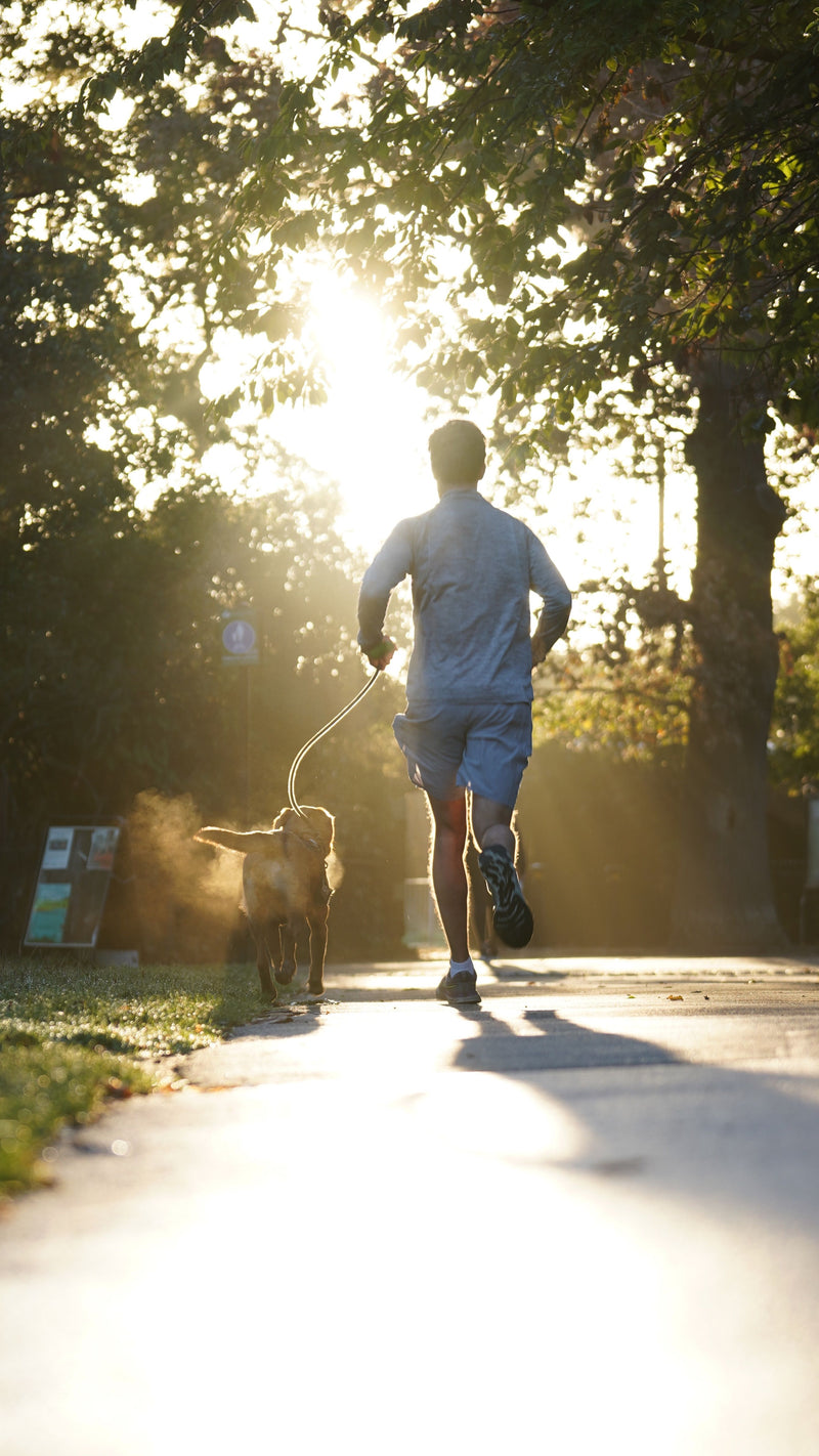 Courir avec son chien : comment bien débuter (âge, distance, chaleur)