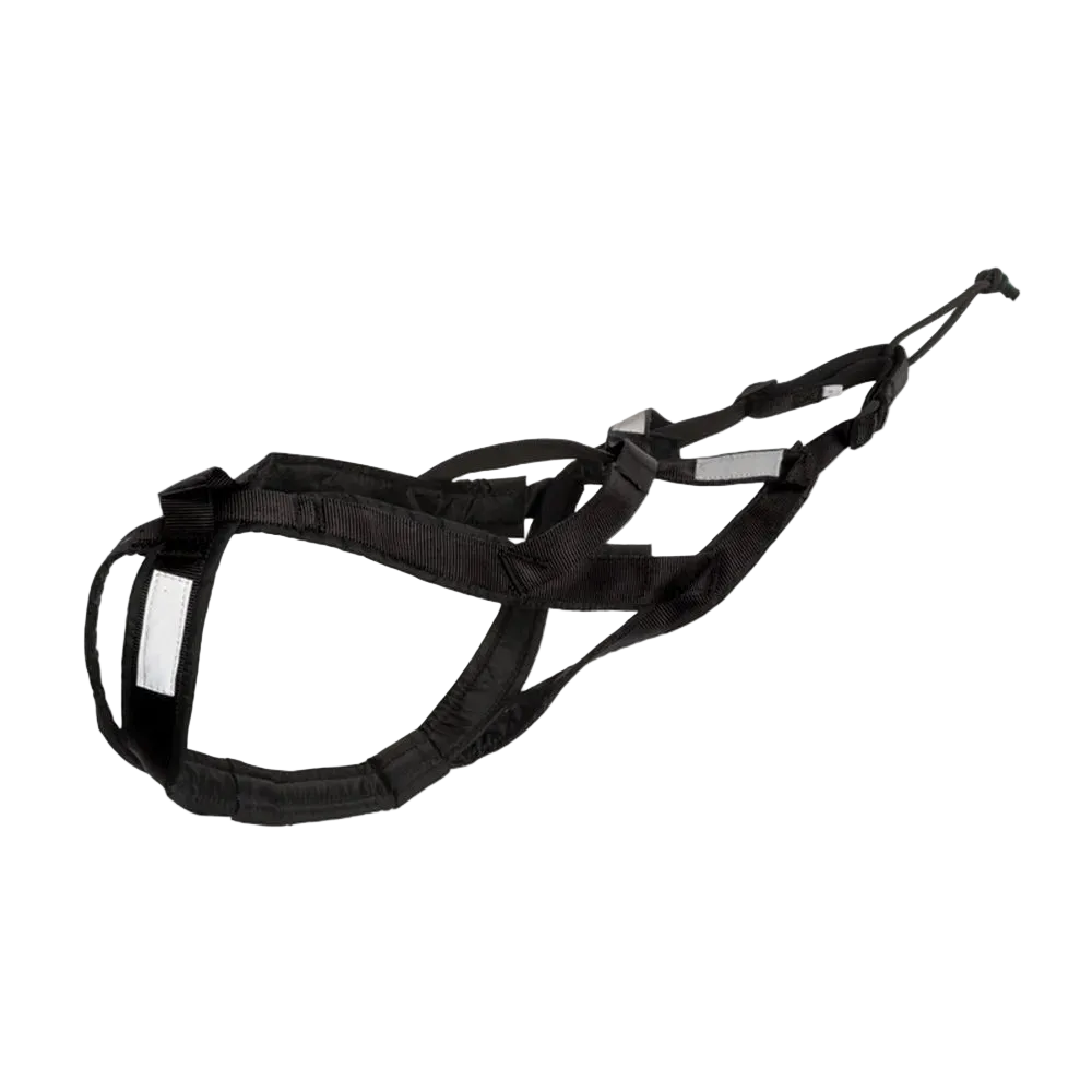Harnais Canicross Réfléchissant Noir
