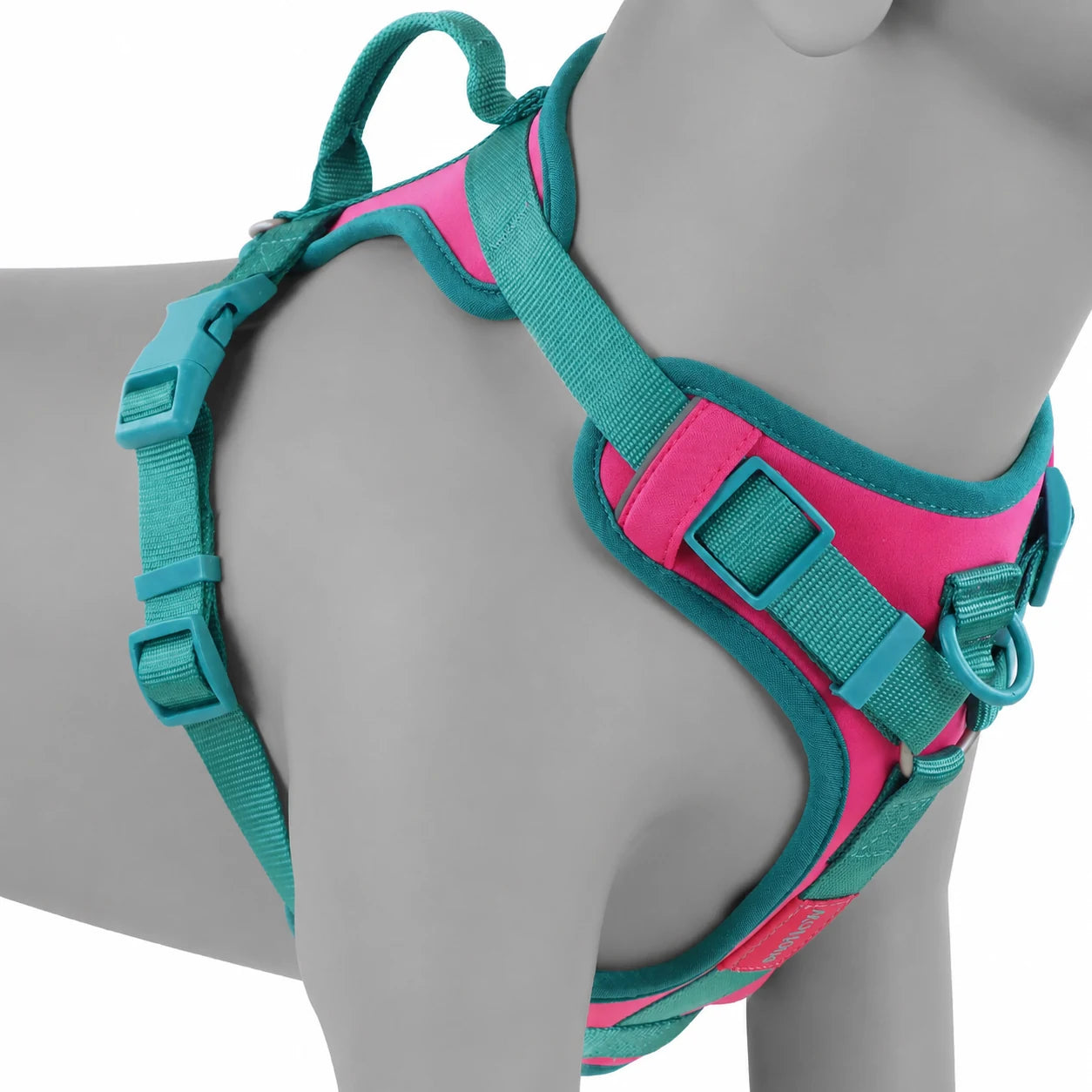 Harnais Chien Anti Traction Original