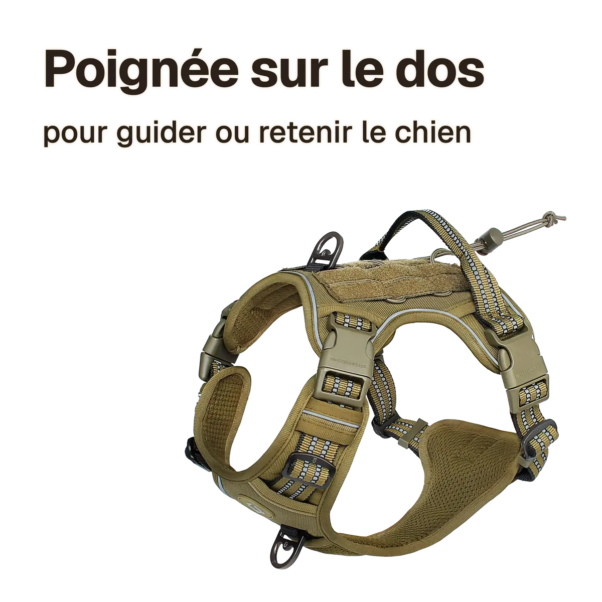 Harnais chien anti traction tactique : poignée sur le dos pour guider ou retenir le chien