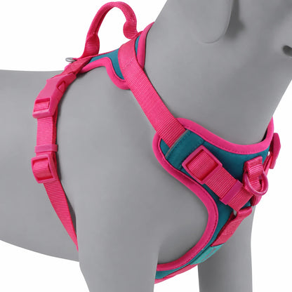 Harnais Chien Anti Traction Original