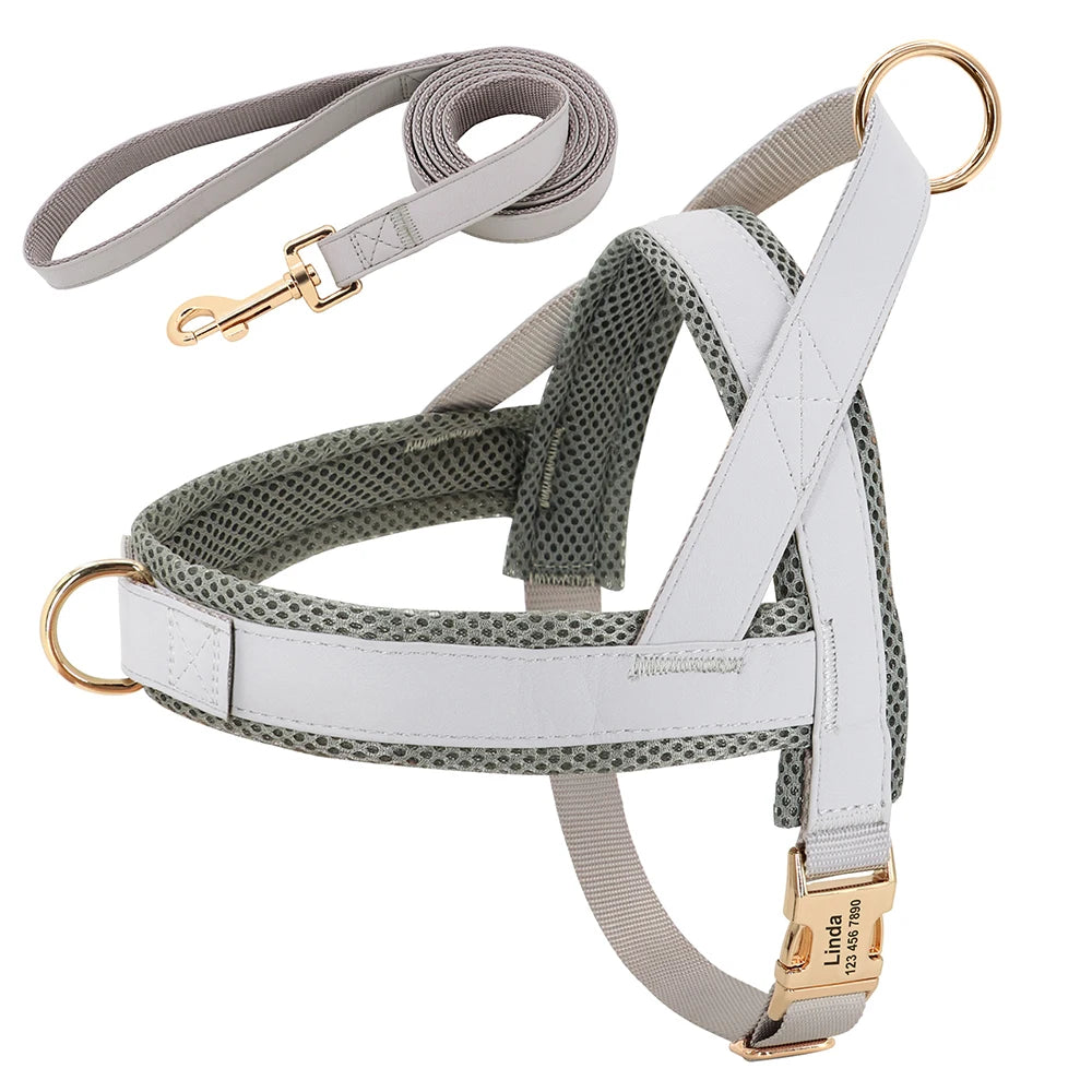 Harnais Petit Chien Set Ajustable