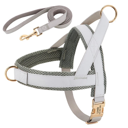 Harnais Petit Chien Set Ajustable