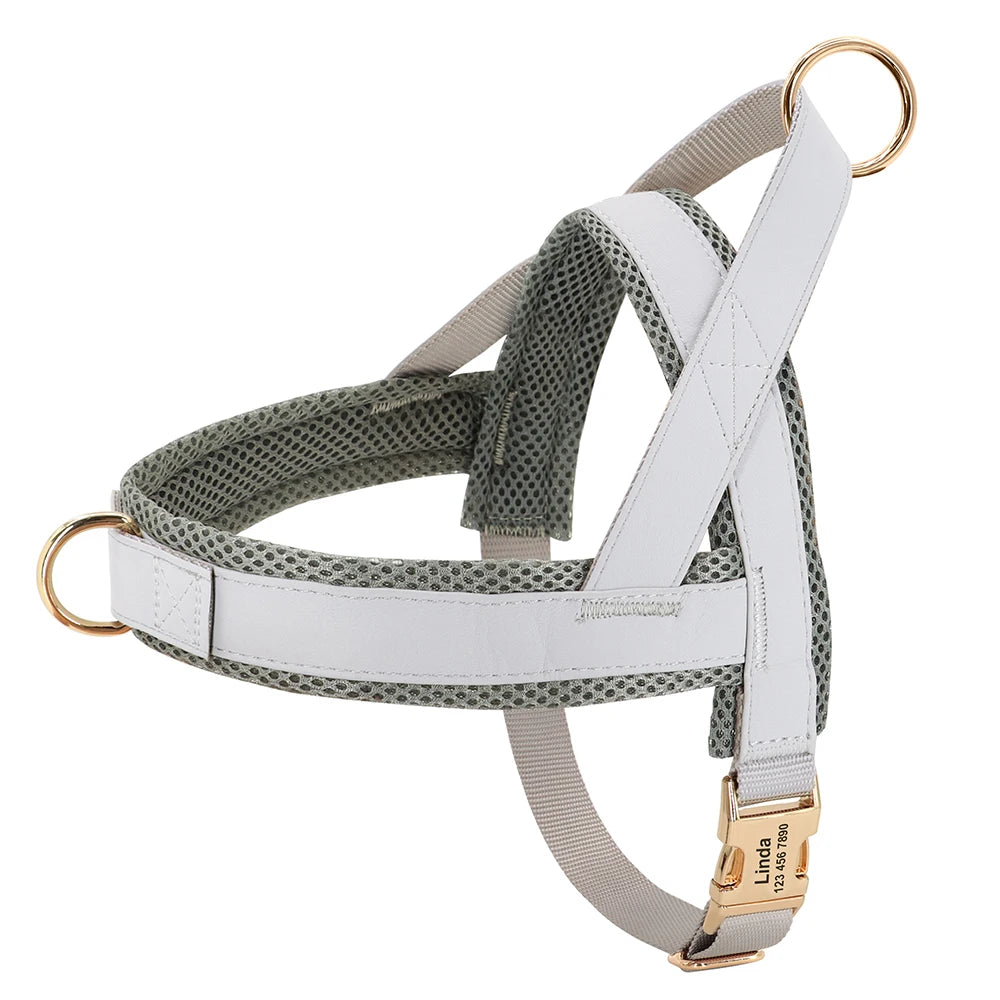 Harnais Petit Chien Set Ajustable