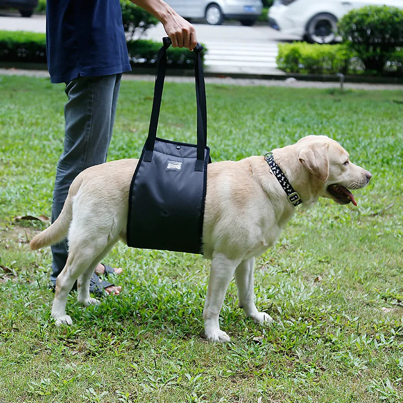 Harnais Chien Handicapé Gris