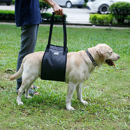 Harnais Chien Handicapé Gris