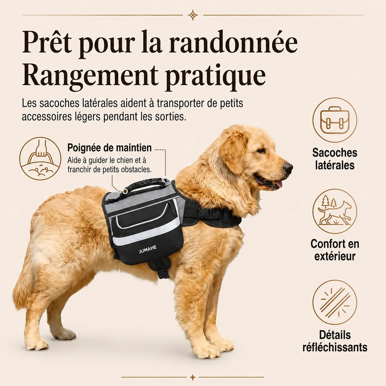 Harnais Randonnée Sacoche Noir