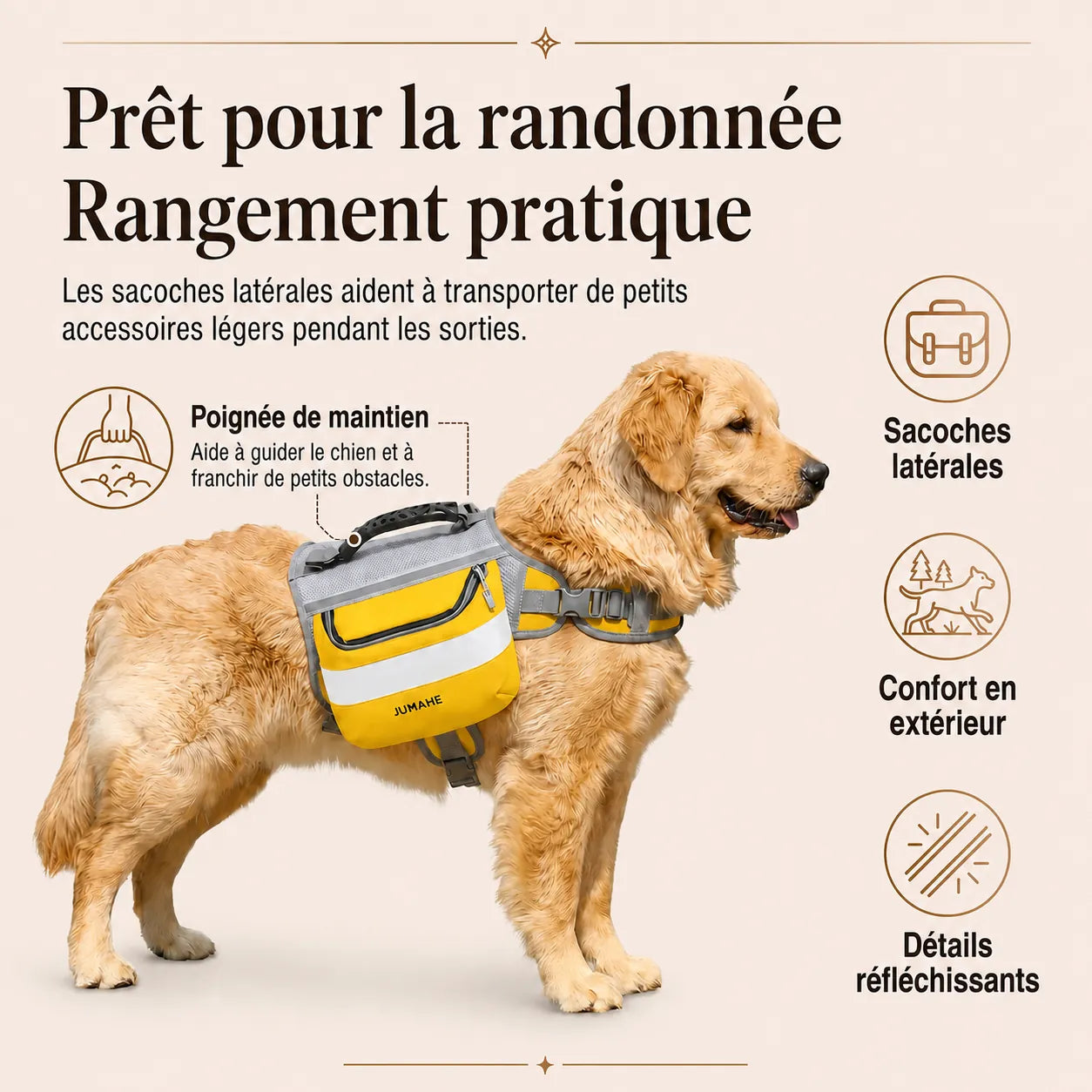 Harnais Randonnée Sacoche Jaune