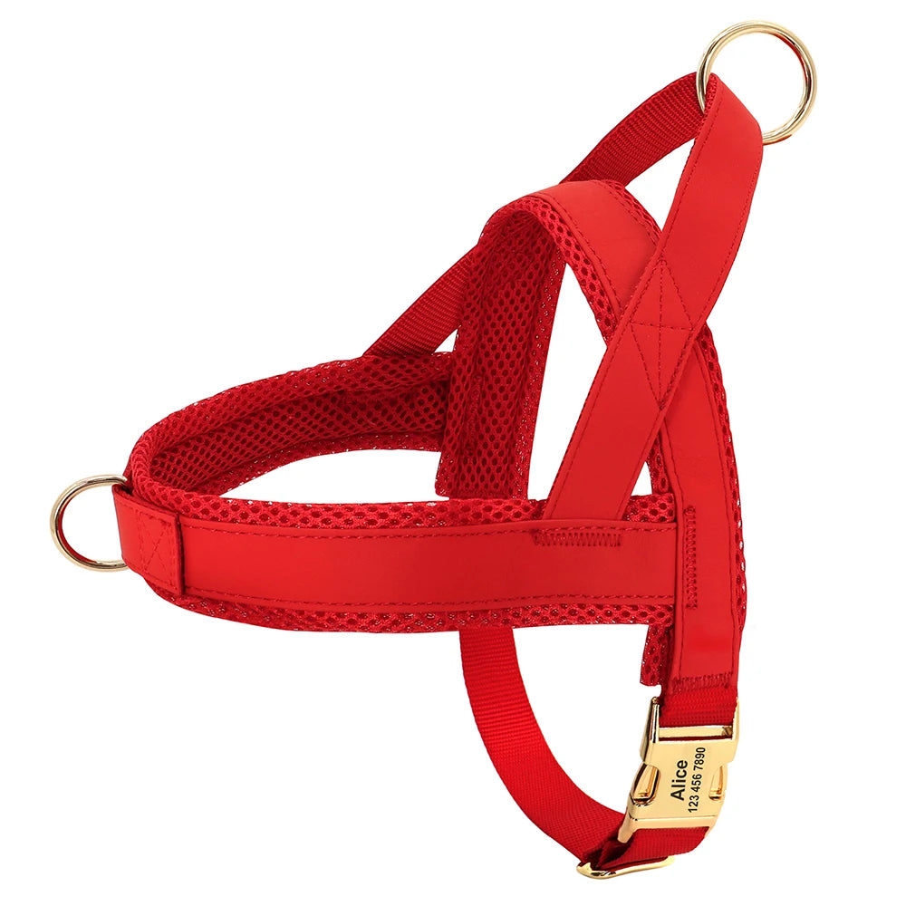 Harnais Petit Chien Set Ajustable
