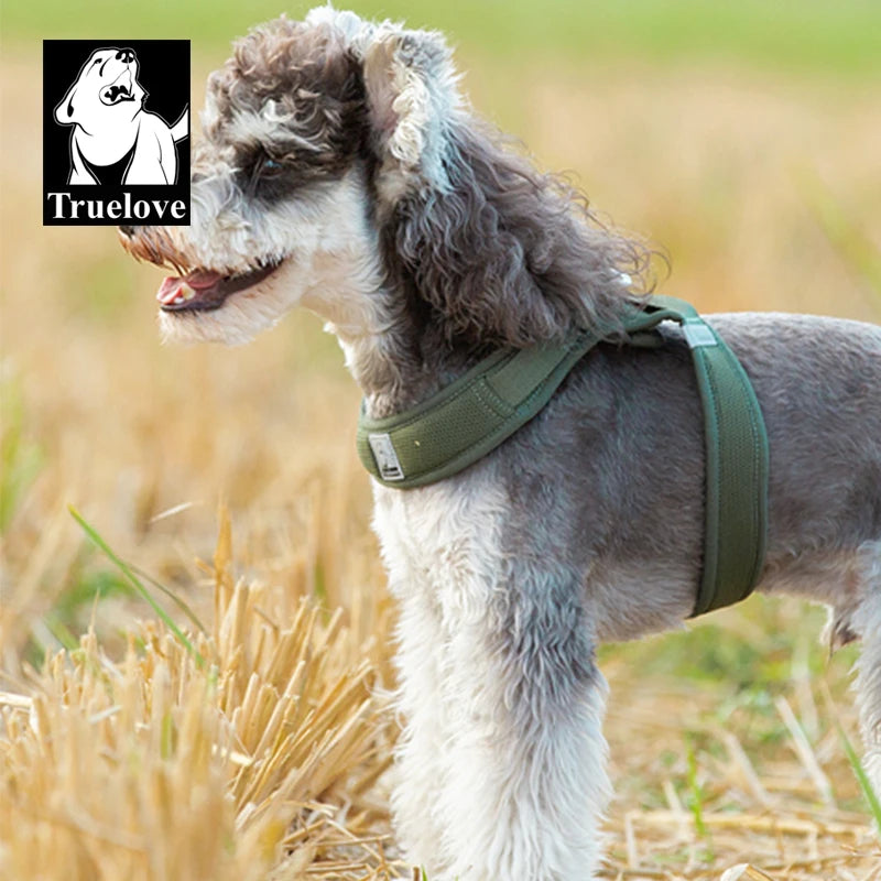 Harnais Petit Chien Motif Respirant