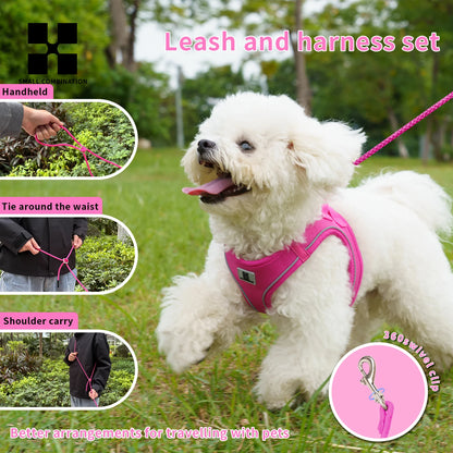 Harnais Chiot Respirant Multicolore