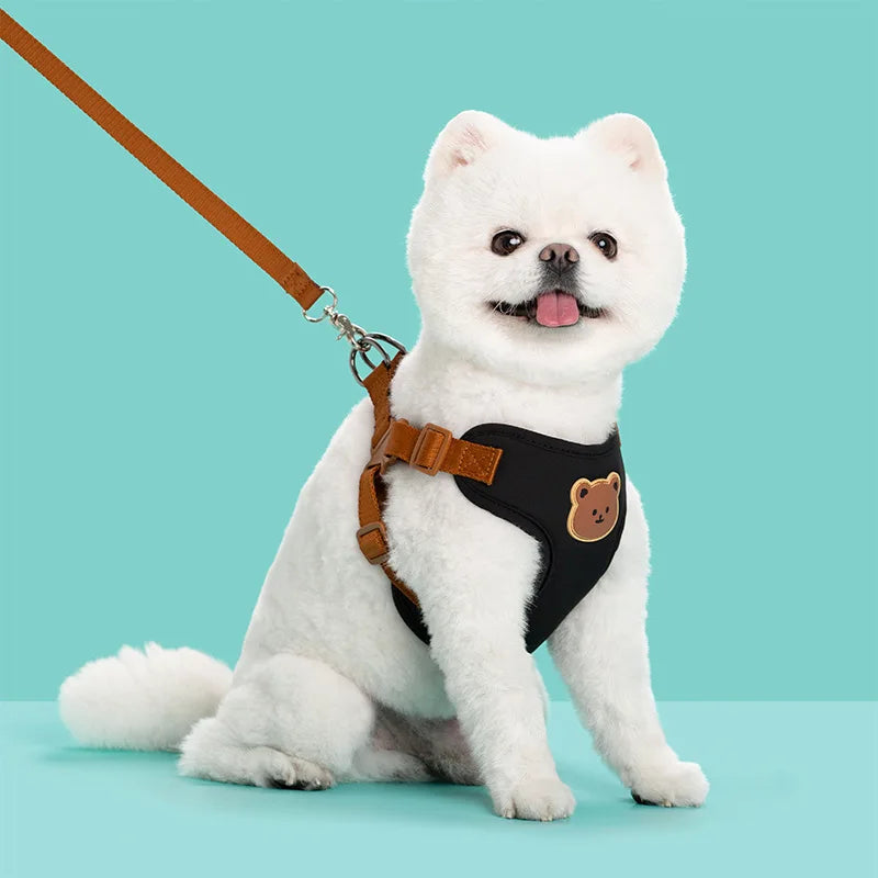 Harnais Chiot Respirant Réglable