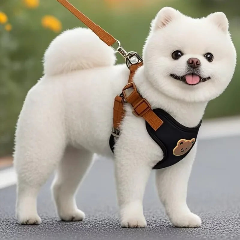 Harnais Chiot Respirant Réglable