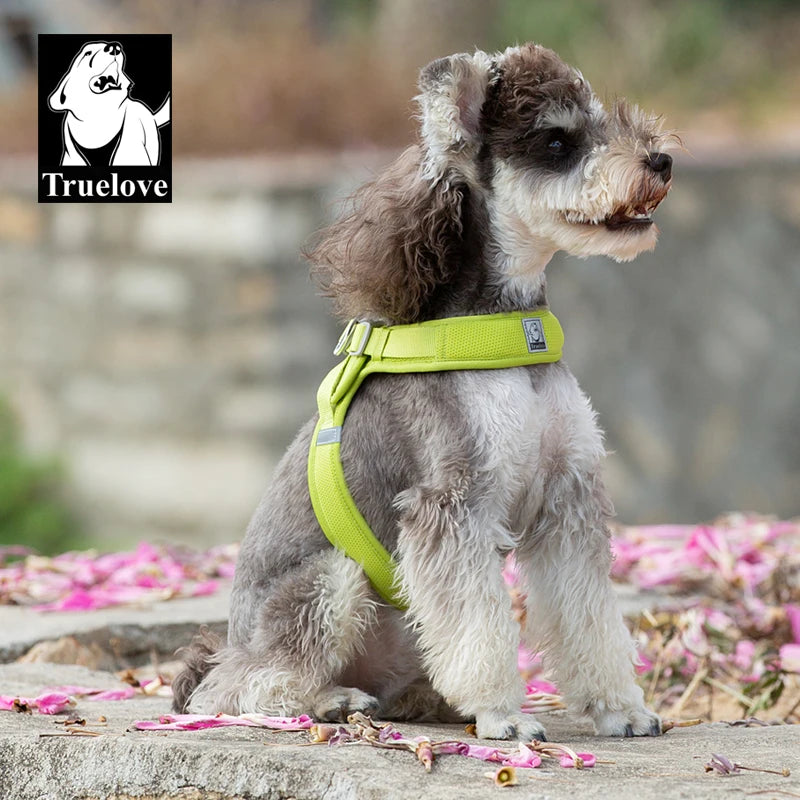 Harnais Petit Chien Motif Respirant