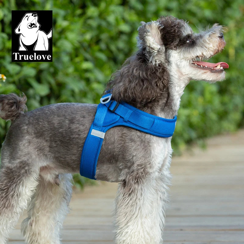 Harnais Petit Chien Motif Respirant