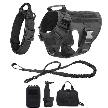 Harnais Tactique Chien Molle