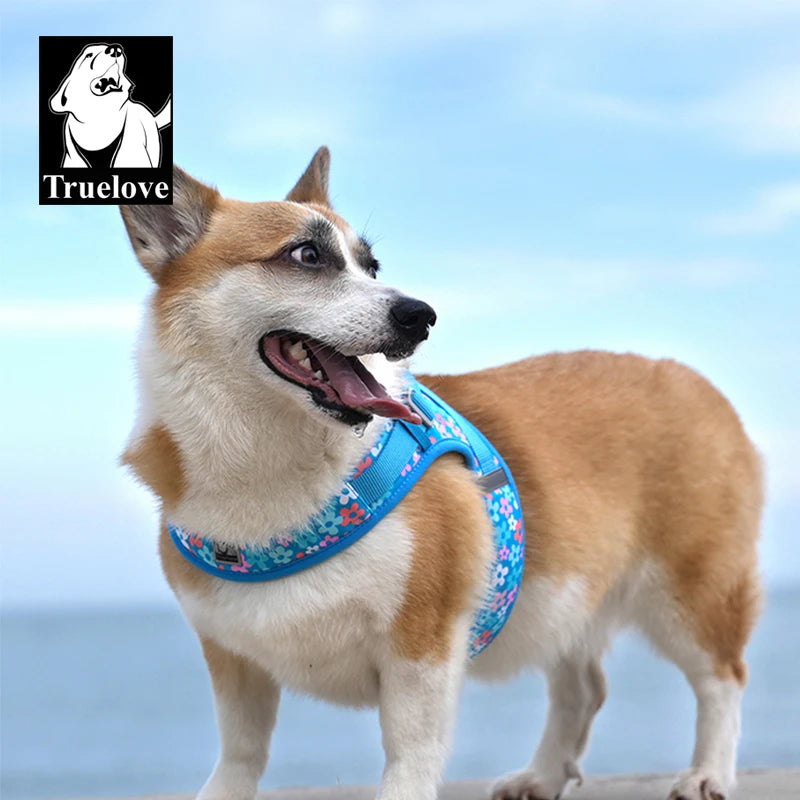 Harnais Petit Chien Motif Respirant