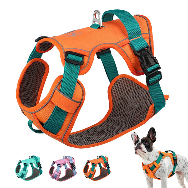 Harnais Petit Chien Maille Respirante