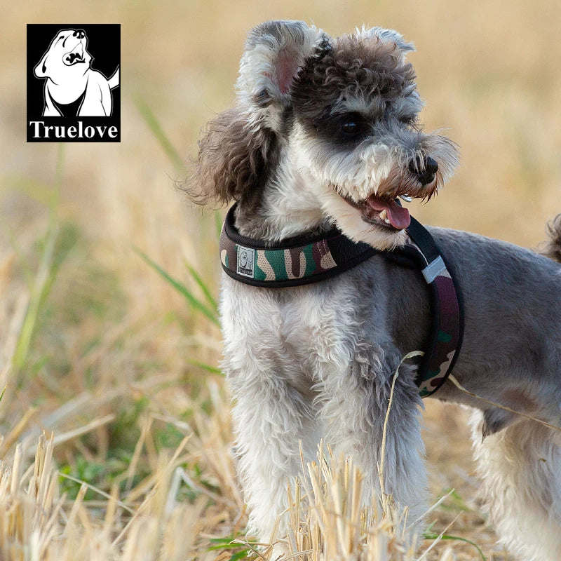 Harnais Petit Chien Motif Respirant