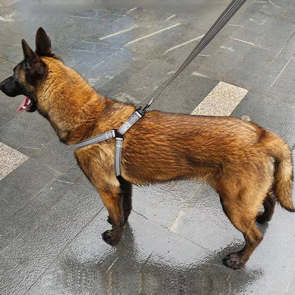 Harnais Chien Y Noir